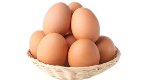 Chicken Origin Oval Brown Fresh Eggs Egg Size Stranded At Best Price In Tirunelveli Laksya Farms