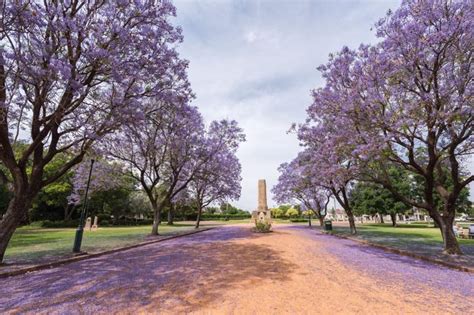 SmartGuide: Discover the beauty of Dubbo