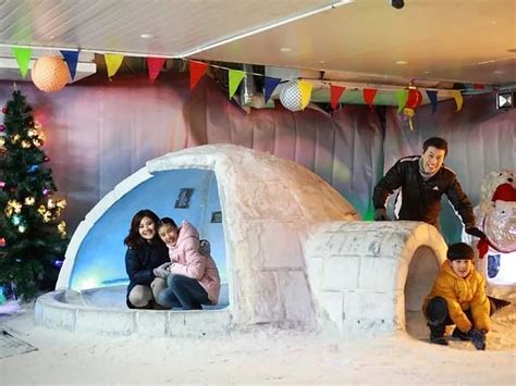 Things to Do at Snow City Singapore | Icy Excitement Awaits