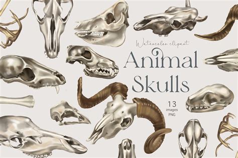 Animal Skull - Design Cuts