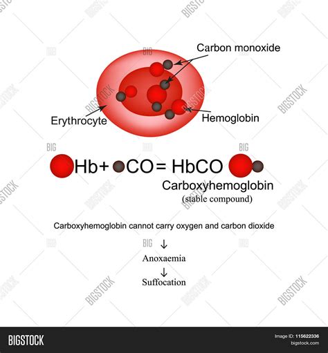 carboxyhemoglobin – Liberal Dictionary