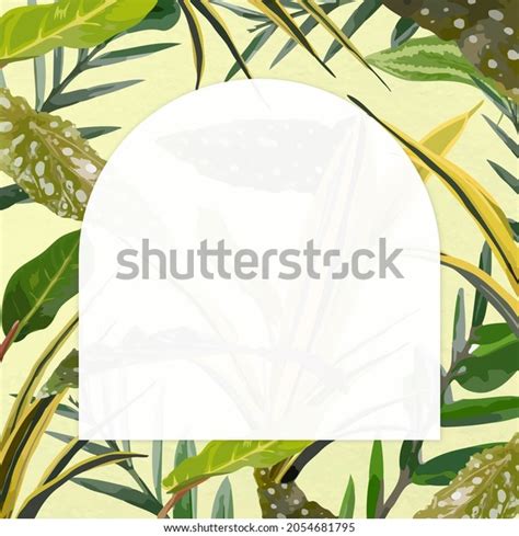 Tropical Frame Background Leaf Border Stock Illustration 2054681795 | Shutterstock