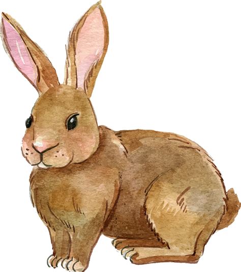 Rabbit PNG Clipart Black White And Brown Transparent Rabbits Images