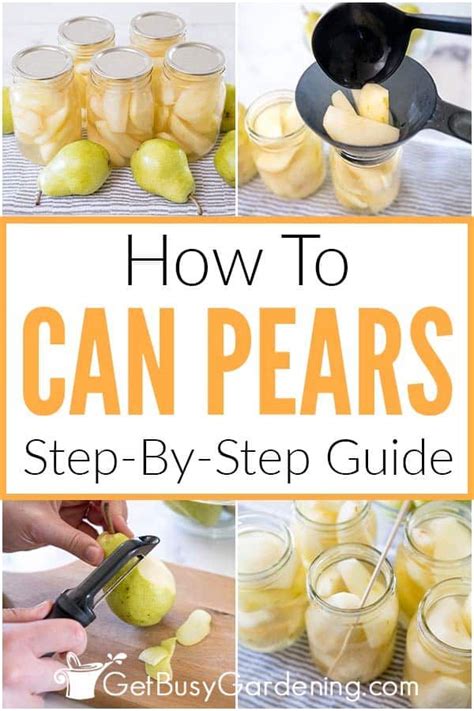 How To Can Pears Without Sugar Artofit