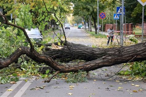 Pogoda W Pleszewie I Powiecie Pleszewskim Przed Nami Bardzo