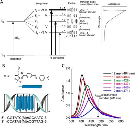 Pursuing Excitonic Energy Transfer With Programmable Dna Based Optical