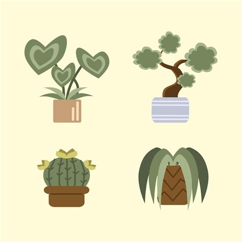 Colección De Lindas Ilustraciones Vectoriales De Plantas De Interior