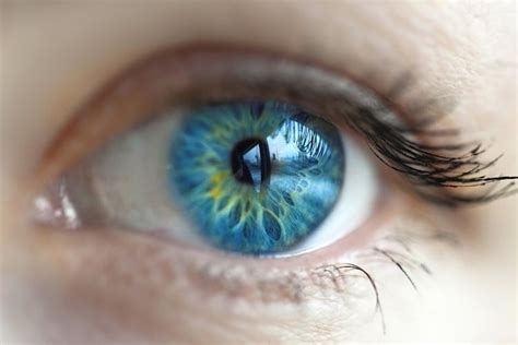 Corneal injuries - myDr.com.au