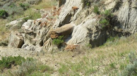 Theodore Roosevelt National Park: Geology – The Paths of Discovery