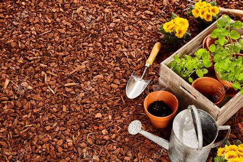 Waarom Boomschors In Jouw Tuin Een Goed Idee Is Boomschors