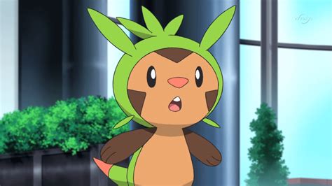 Chespin Nicknames Best And Amazing Names