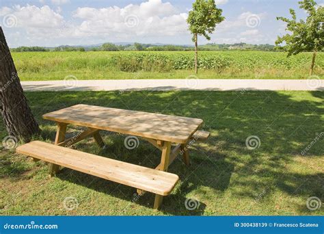 New Empty Pine Wood Picnic Table On A Green Meadow In A Public Park