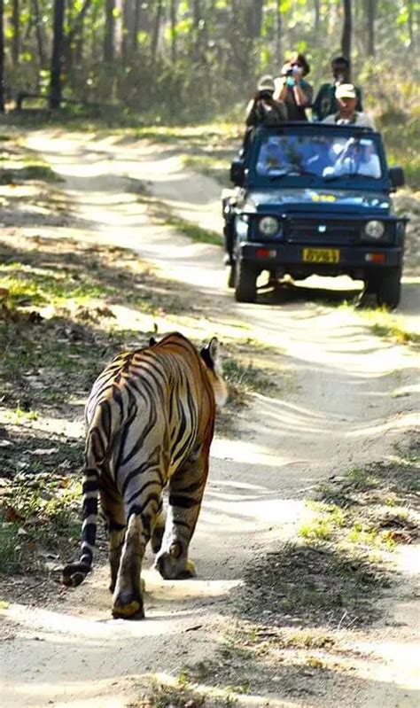 7 Captivating Wildlife Sanctuaries in India for Nature Lovers