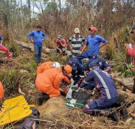 Homem morre após ser atingido por queda de árvore Roraima em Tempo