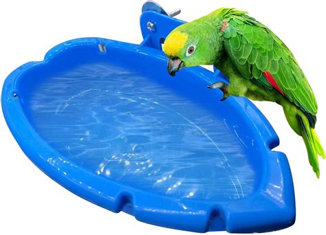 Courti Bird Bath Tub Bowl Basin Hanging Birdbath Toy Bird Cage