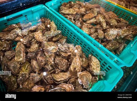 France, Gironde, Gujan-Mestras, restaurant Chez Bidart, producer hut
