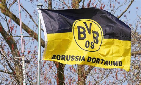 Free Images Hype New Westfalen Black Yellow Bvb Football Fans