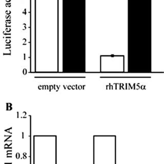 Sumo Interacting Motifs Are Important For Hiv Restriction By Rhesus