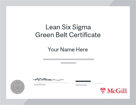 Lean Six Sigma Certification Mcgill Executive Institute