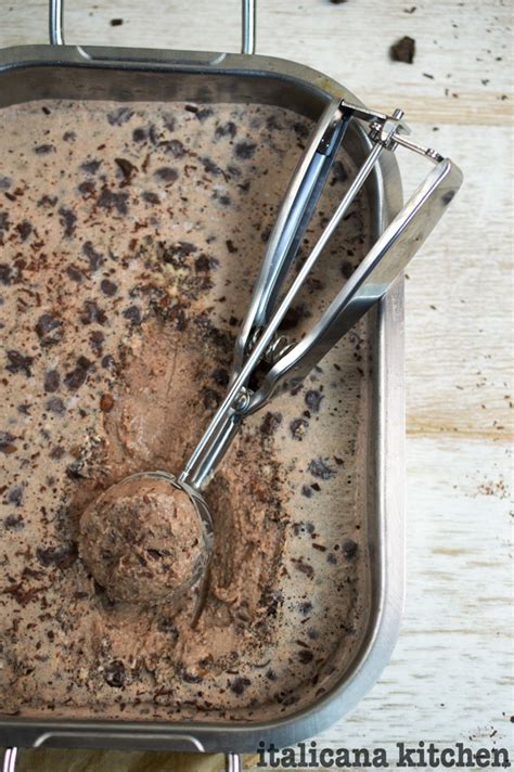 Homemade No Churn Coffee Ice Cream