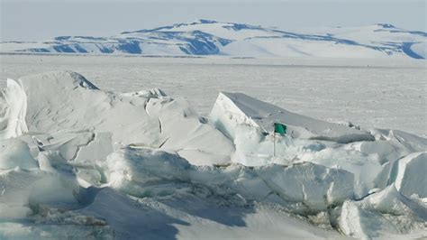 Er Is Een Nieuw Ecosysteem Ontdekt Onder Het Ijs Van Antarctica