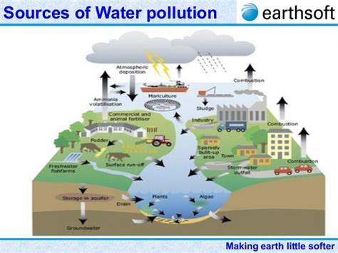 Surface Water Pollution Diagram