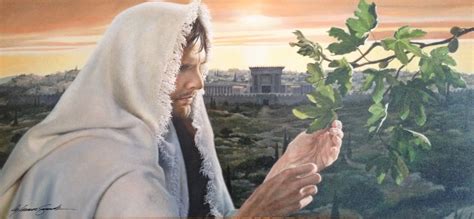 Jesus And The Olive Tree İsa