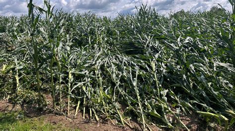 NWS confirms EF-2 tornado hit Frankton-Lapel admin building | wthr.com