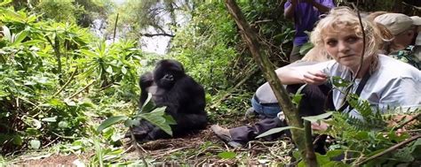 Virunga National Park: All you need to know