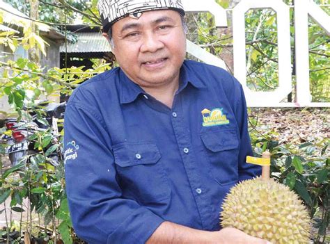 Durian Lokal Naik Kelas Trubus