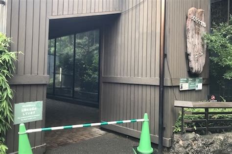 動物zoo感ごっこ 追悼テナガザルのナポ