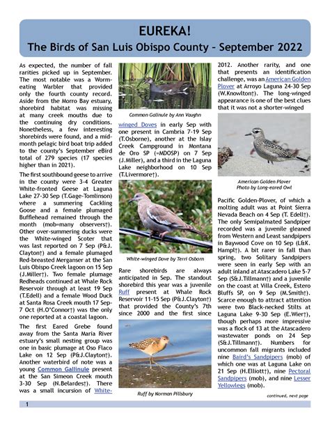 EUREKA! The Birds of San Luis Obispo County - Sept 2022 ~ Morro Coast