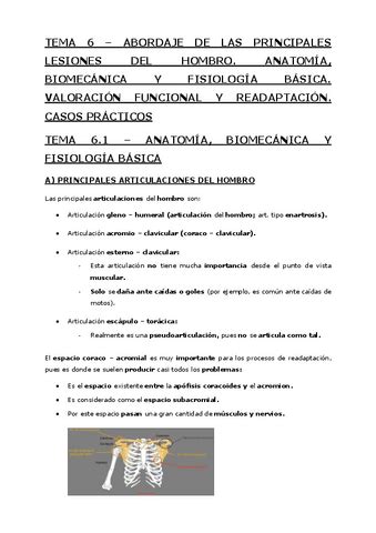 Tema Abordaje De Las Principales Lesiones Del Hombro Pdf