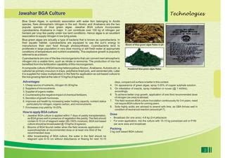 Opportunities For Biofertilizer Industries PPT