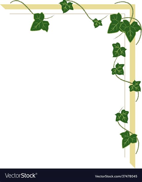 Corner ornament with ivy shoots frame leaves Vector Image