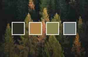 10+ best forest color palette ideas (with HEX codes) - Desircle