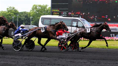 Quinté du samedi 08 02 2025 à Vincennes Pronostic PMU du jour