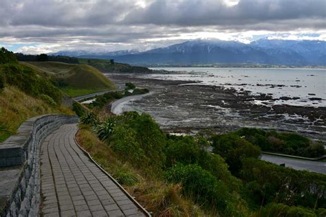 Irresti: Kaikoura Seal Colony Walk