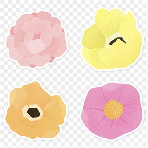 Colorful Floral Sticker Set Transparent Free Png Rawpixel