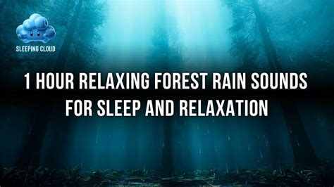 Sleeping Cloud I 1 Hour Relaxing Forest Rain Sounds For Sleep And