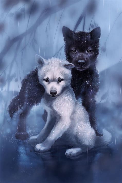 Cute Baby Wolf Wallpapers - Wallpaper Cave