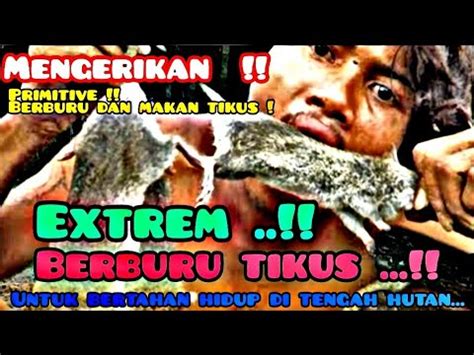 Solo Camping And Hunting Berburu Tikus Hutan Jadi Pilihan Ketika