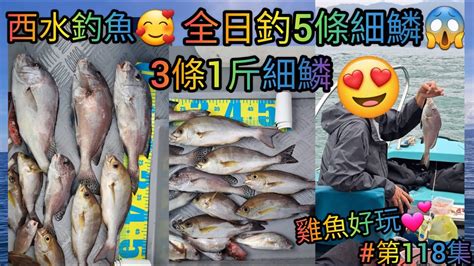 【香港艇釣精華】x 第118集 西水釣魚魚獲vlog ｜全日5條細鱗｜3條1斤細鱗｜雞魚｜䱛｜沙鯭｜斑類｜雜魚｜19 10 2023 釣魚