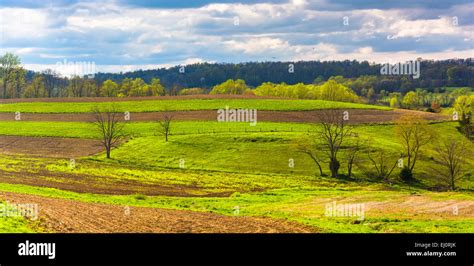 View Of Farm Fields And Rolling Hills In Rural York County