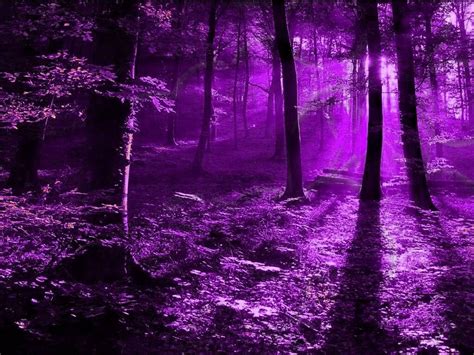 Dark Purple Forest Wallpapers - Top Free Dark Purple Forest Backgrounds ...