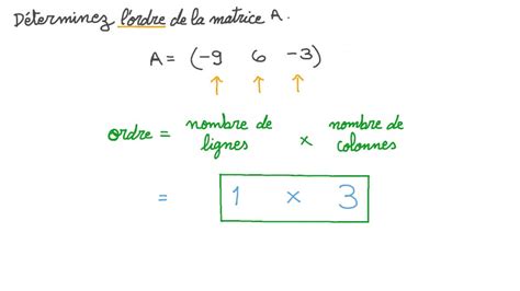 Vidéo Question Déterminer Lordre Dune Matrice Nagwa