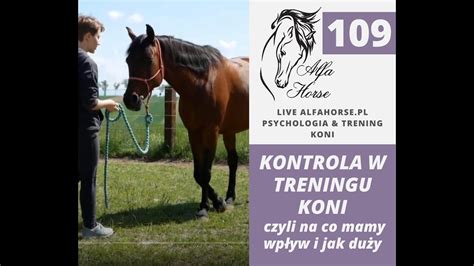 LIVE 109 Kontrola W Treningu Koni Trening Koni YouTube