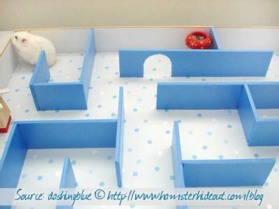 DIY Hamster Maze - petdiys.com