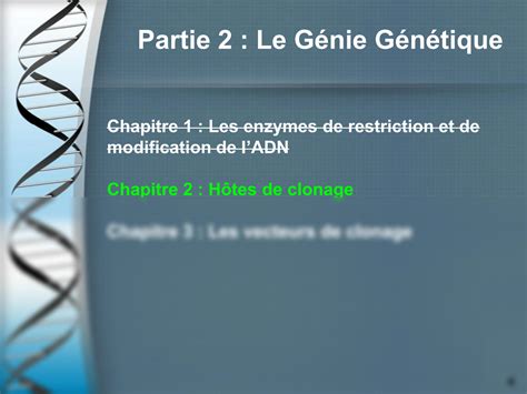 SOLUTION 6 cours Biologie moléculaire et génie génétique Studypool