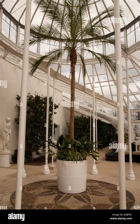 Interior of Chiswick Conservatory at Chiswick House and Gardens, London ...